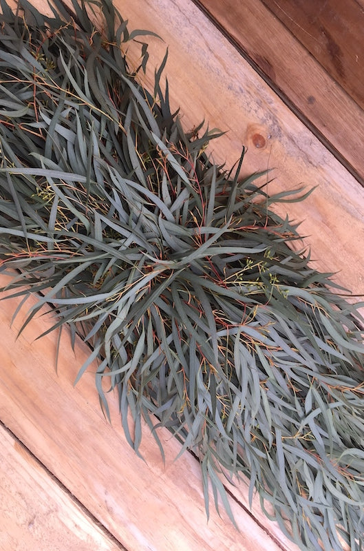 willow fresh eucalyptus garland