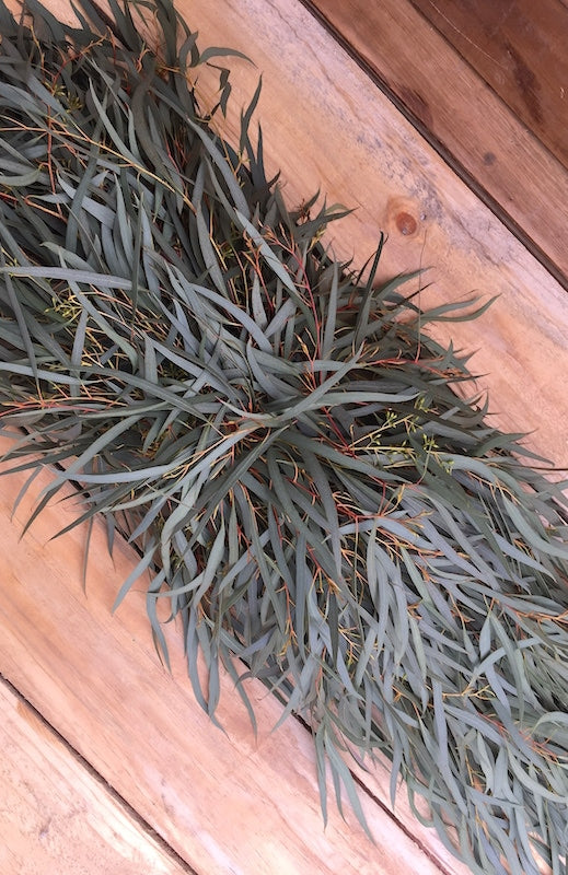 willow fresh eucalyptus garland