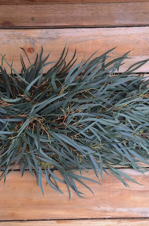 willow seeded eucalyptus garland
