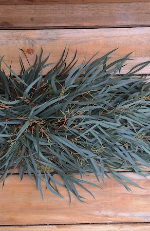 willow seeded eucalyptus garland
