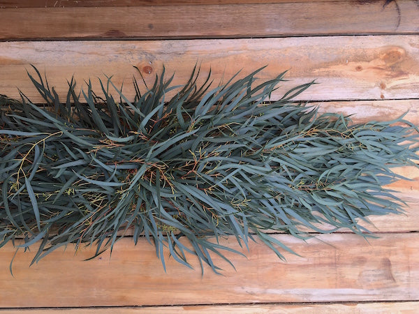 willow seeded eucalyptus garland