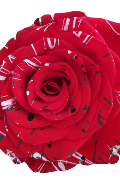 red rose with white and green