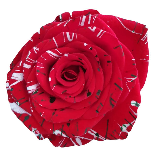 red rose with white and green