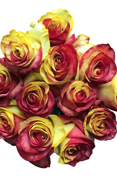 bouquet red yellow tinted roses