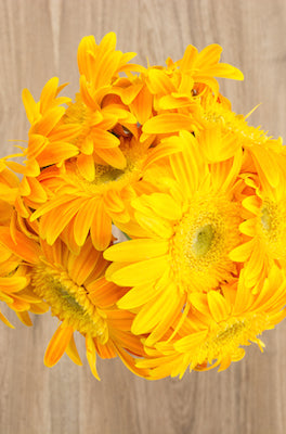 Yellow Daisies Light Eye