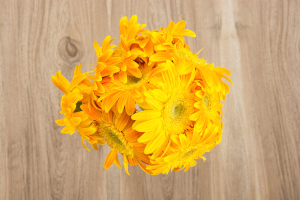 Yellow Daisies Light Eye