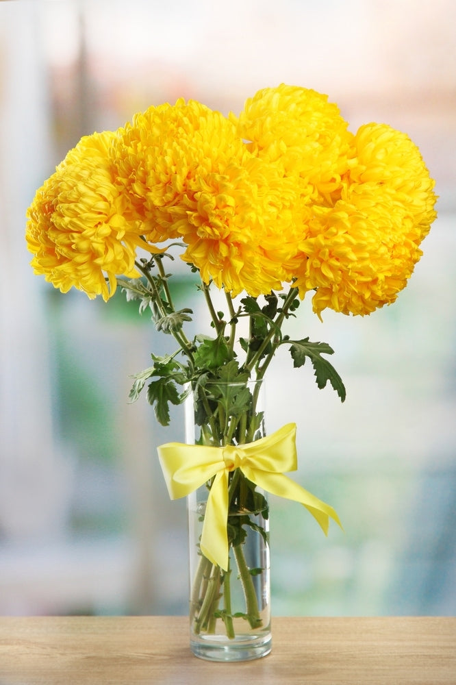 Yellow Football Mum Bouquet