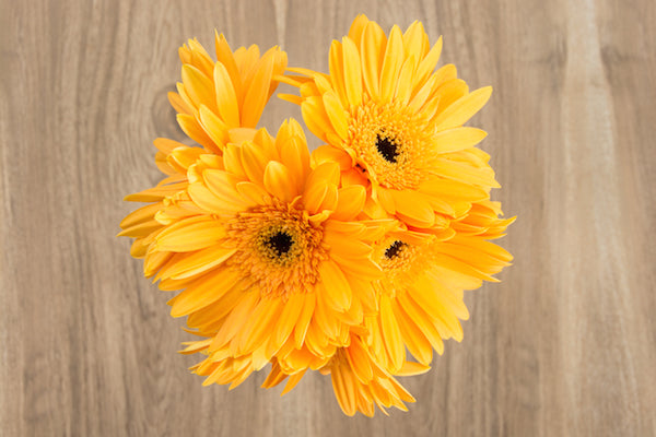 Yellow Gerbera Daisies Bouquet