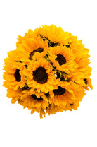 Yellow Mini Sunflowers
