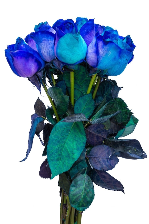 Tinted Roses Are all the Rage These Days