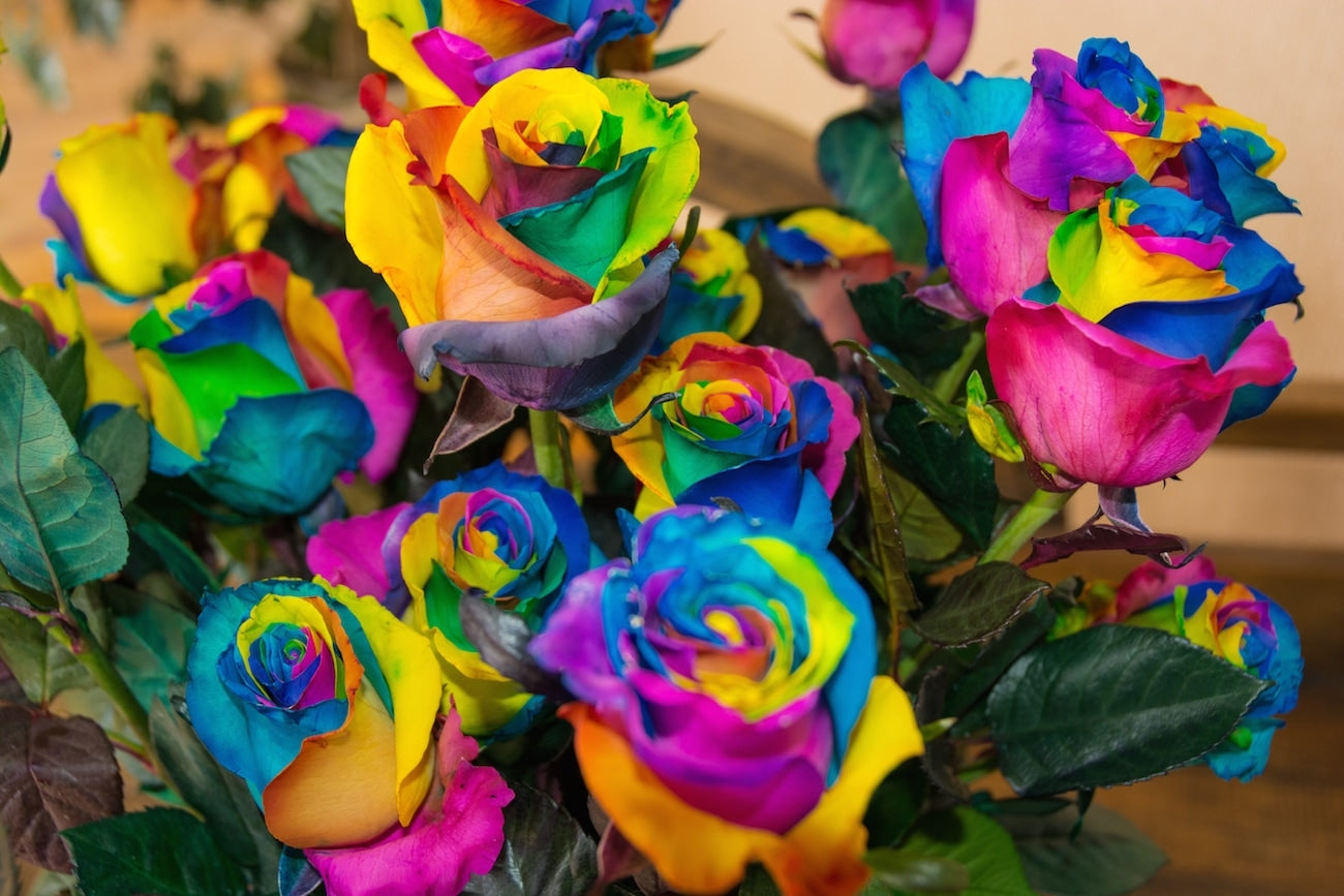 Tinted Roses