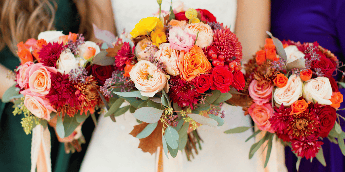 Choosing the Right Color of Roses for Every Occasion