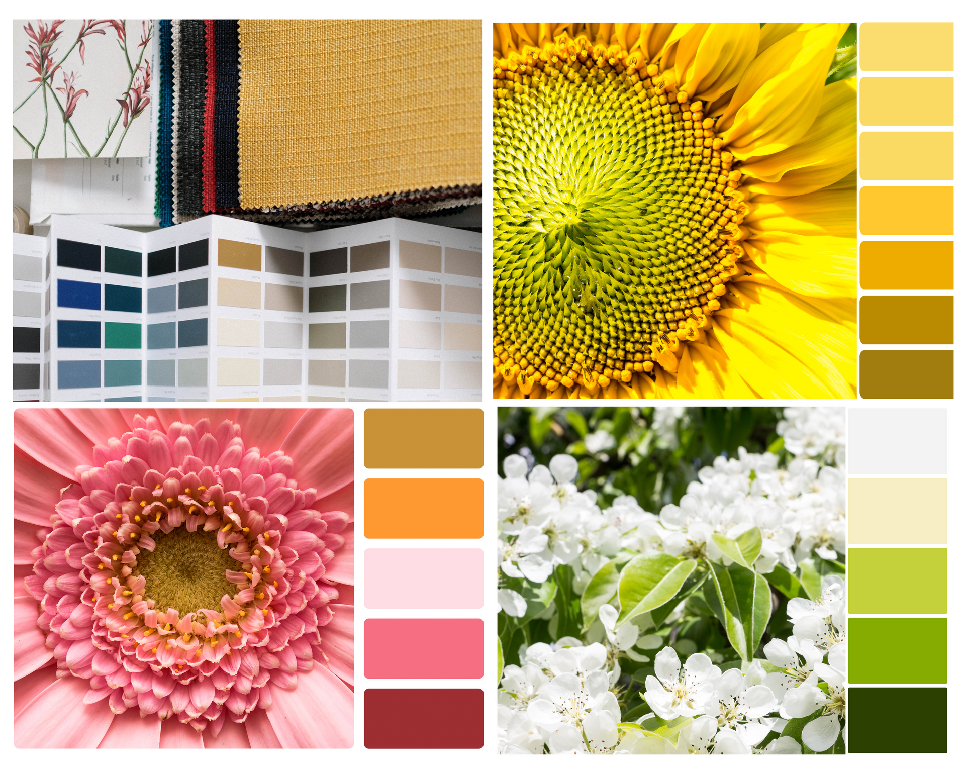 8 Flower Color Combinations that Designers Should Try β Flower Explosion