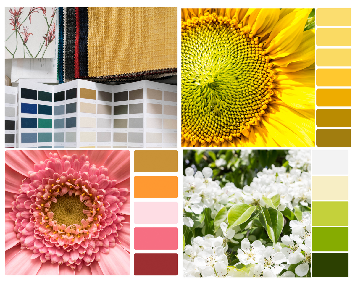 8 Flower Color Combinations that Designers Should Try – Flower Explosion