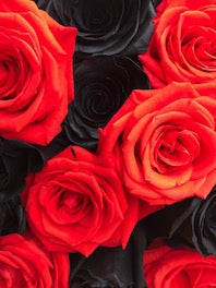 Halloween Fresh-Cut Flowers