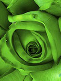 Green Flowers