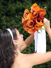 Calla lily