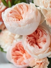 Peonies: May - June - July 15th