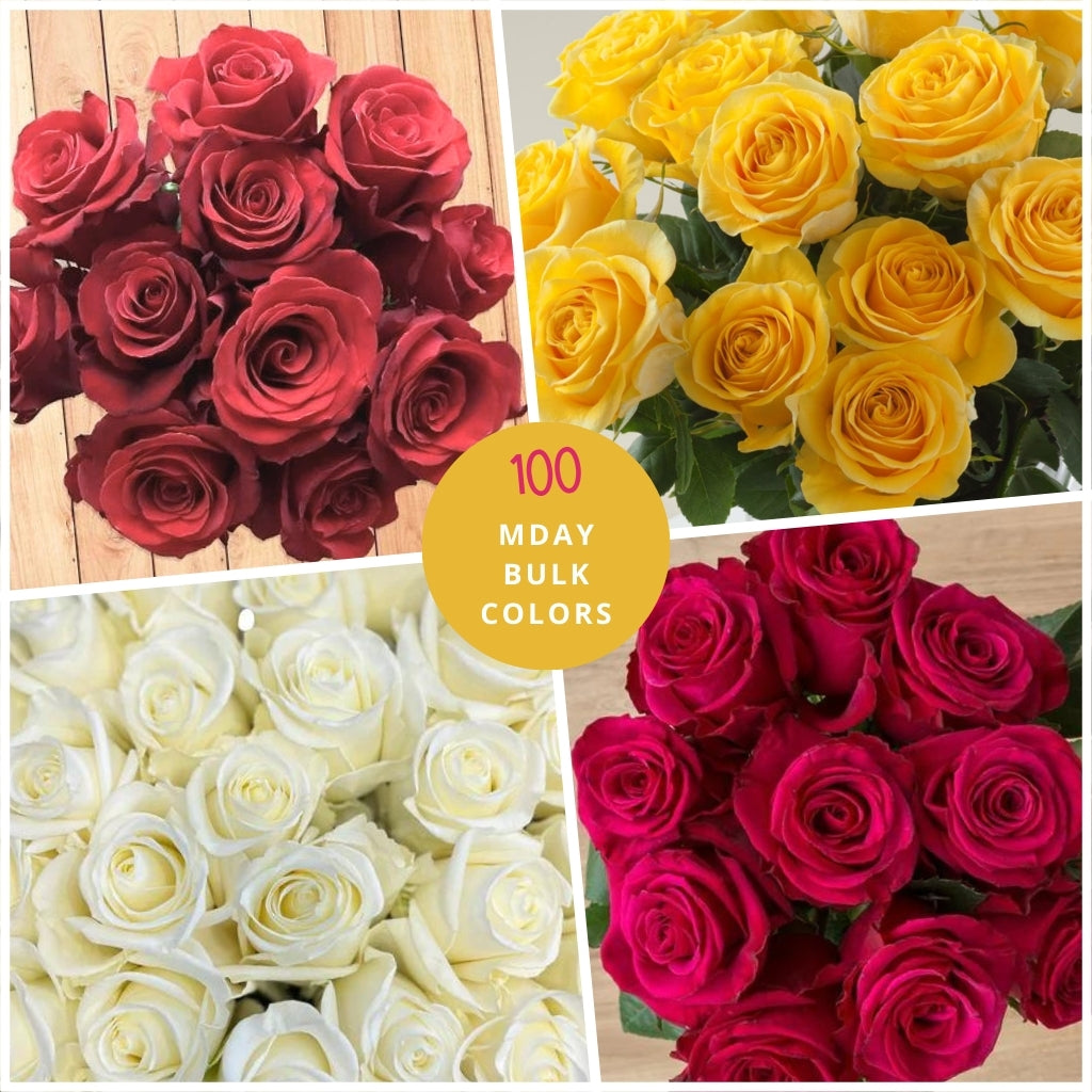 100 Day Roses Mother's Day Custom Wholesale Roses - 100 Stems Choose Your Color ...