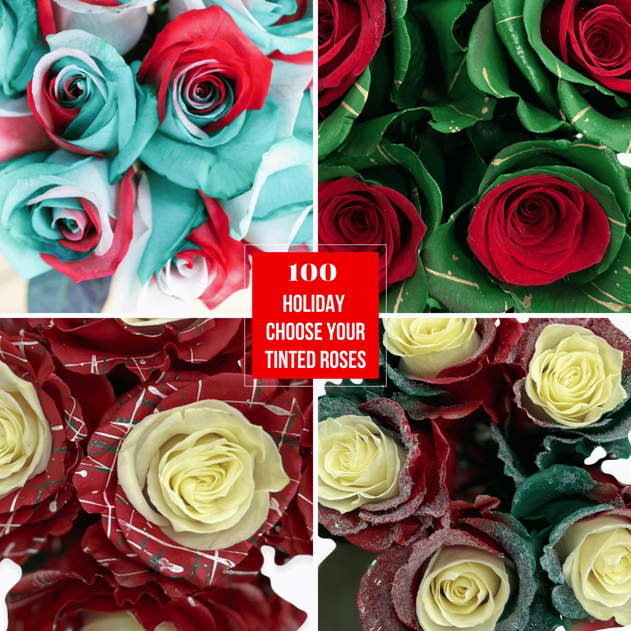 100 Mix and Match Holiday Tinted Roses - Christmas Wholesale