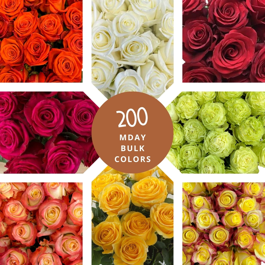 Mother's Day Bulk Roses - 200 Stems Choose Your Colors – Flower Explosion