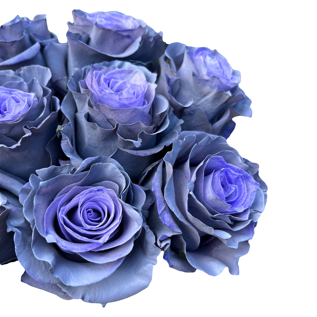 stina type H blue rose×gray ブルーローズ　Sサイズ 2048x2048DustyGrey21.png?v=