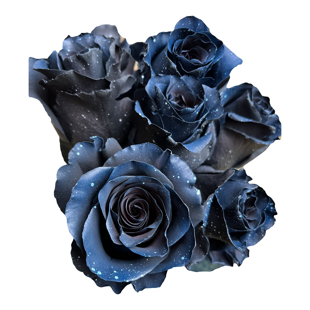 Blue roses for sale - Buy cheap blue roses - Flower Explosion