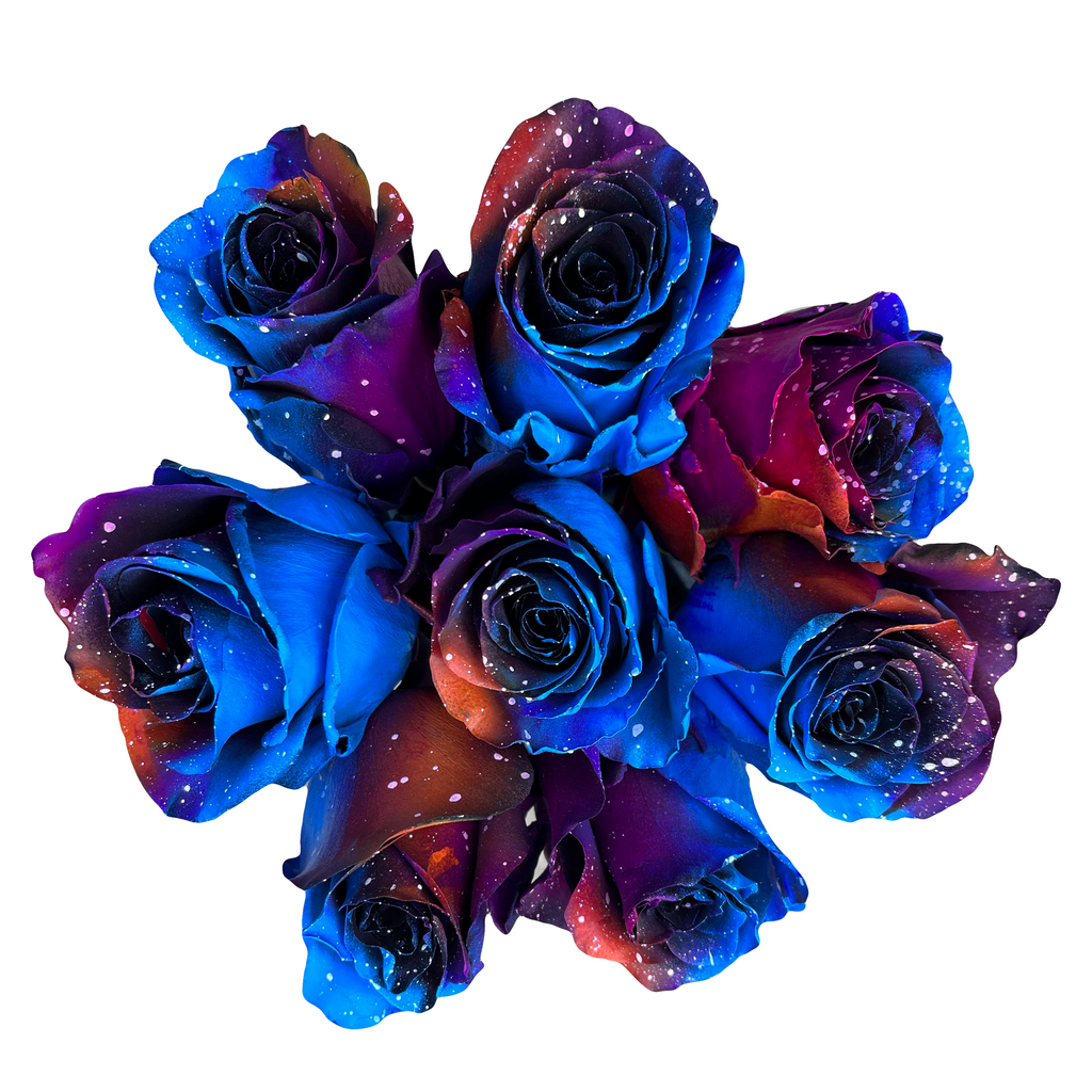 Blue roses for sale - Buy cheap blue roses - Flower Explosion