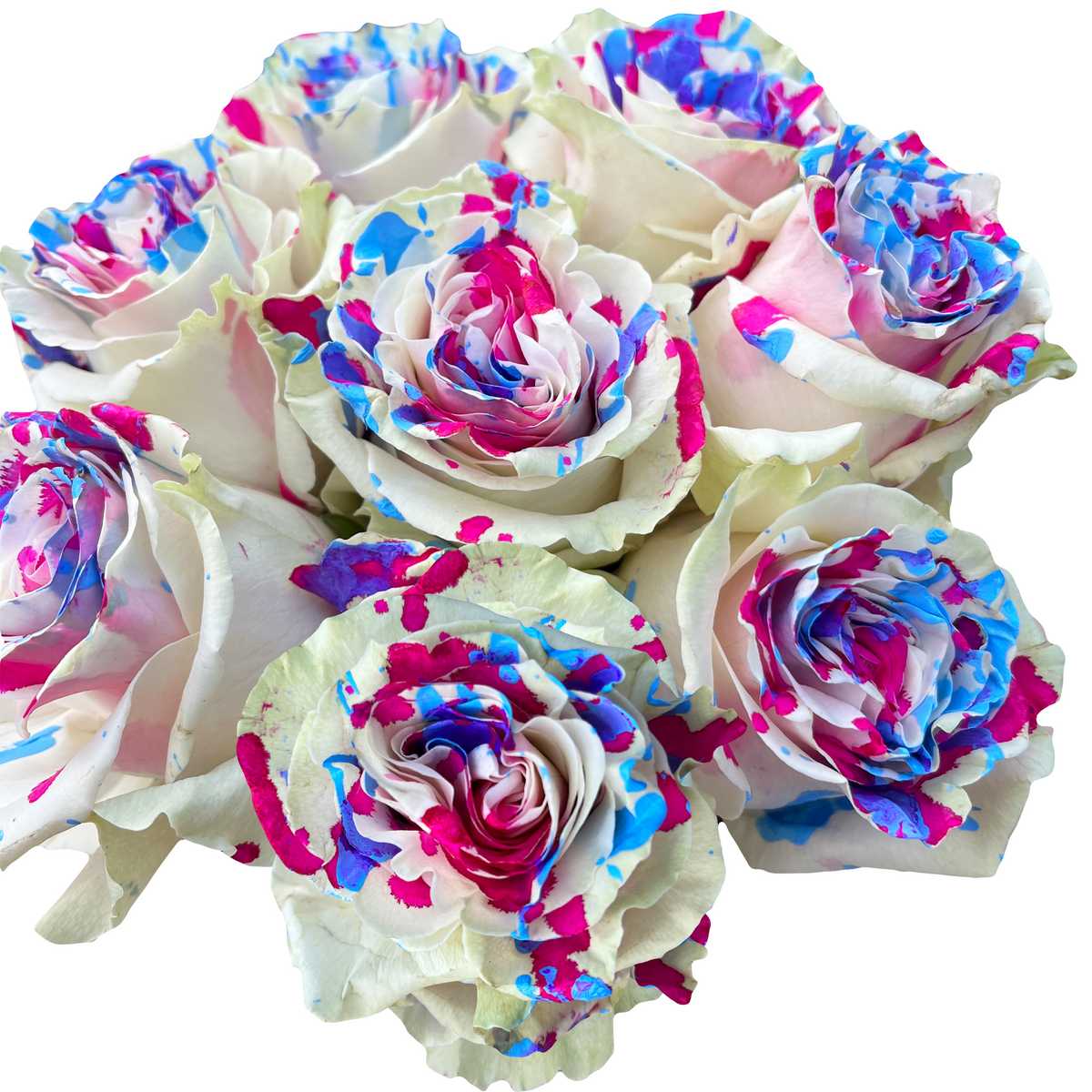 WIld Picasso – Flower Explosion