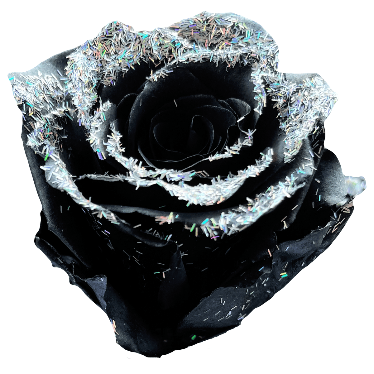 Glitter Roses for Sale | Specialty Online Flowers - Flower Explosion