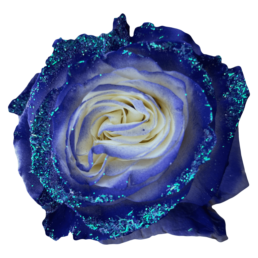 Glitter Roses for Sale | Specialty Online Flowers - Flower Explosion