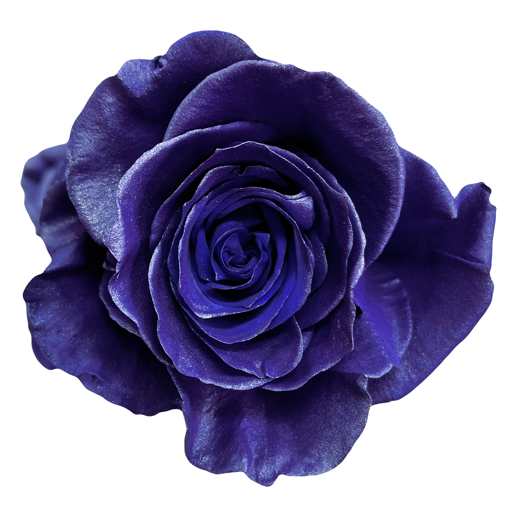 Real Metalic Purple Roses Metallic Purple Roses - Exotic Blooms Online| Flower Explosion