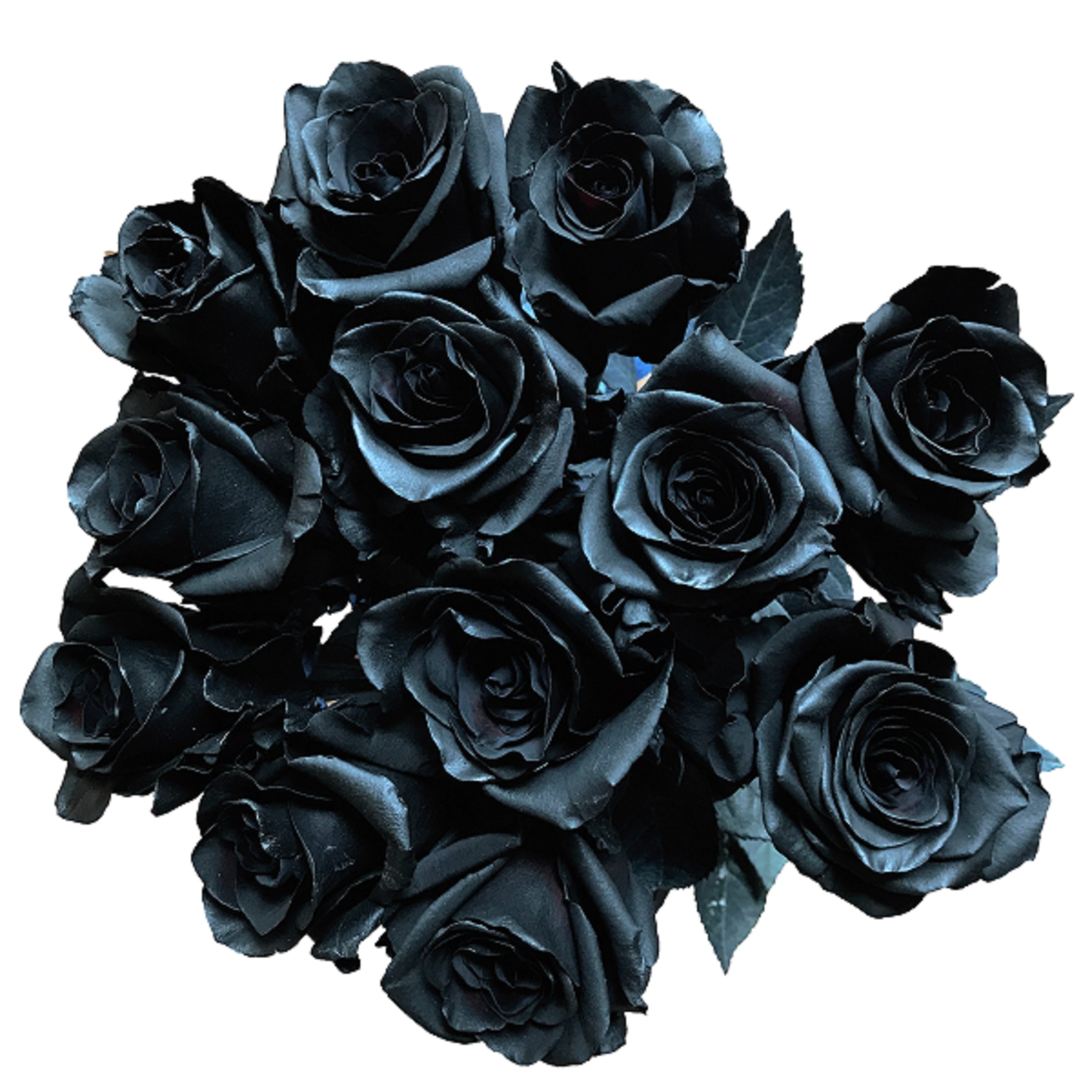 Real Black Roses Bouquet