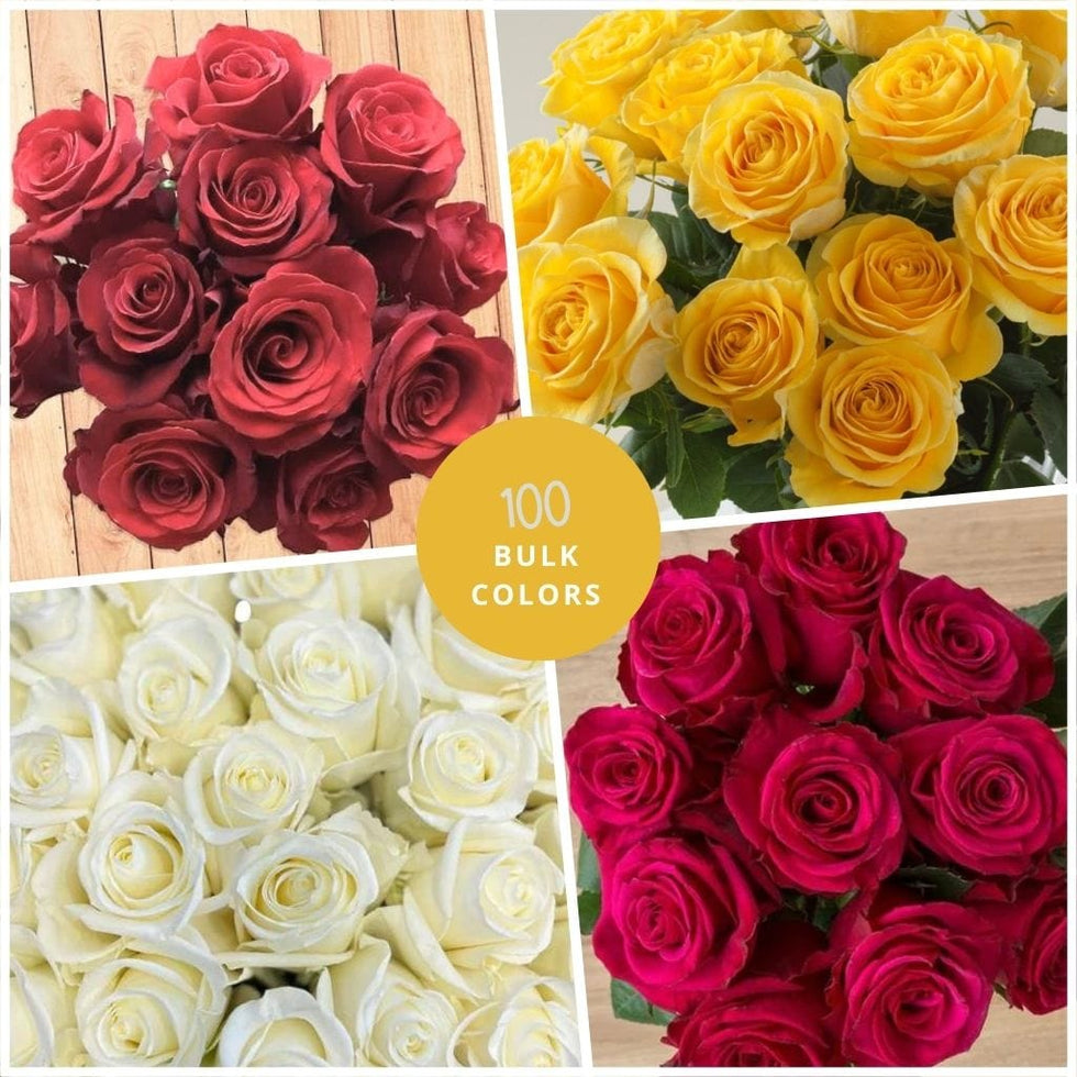 Bulk Fresh Roses Wholesale Flowers, Bulk Flowers Online | Flower Explosion