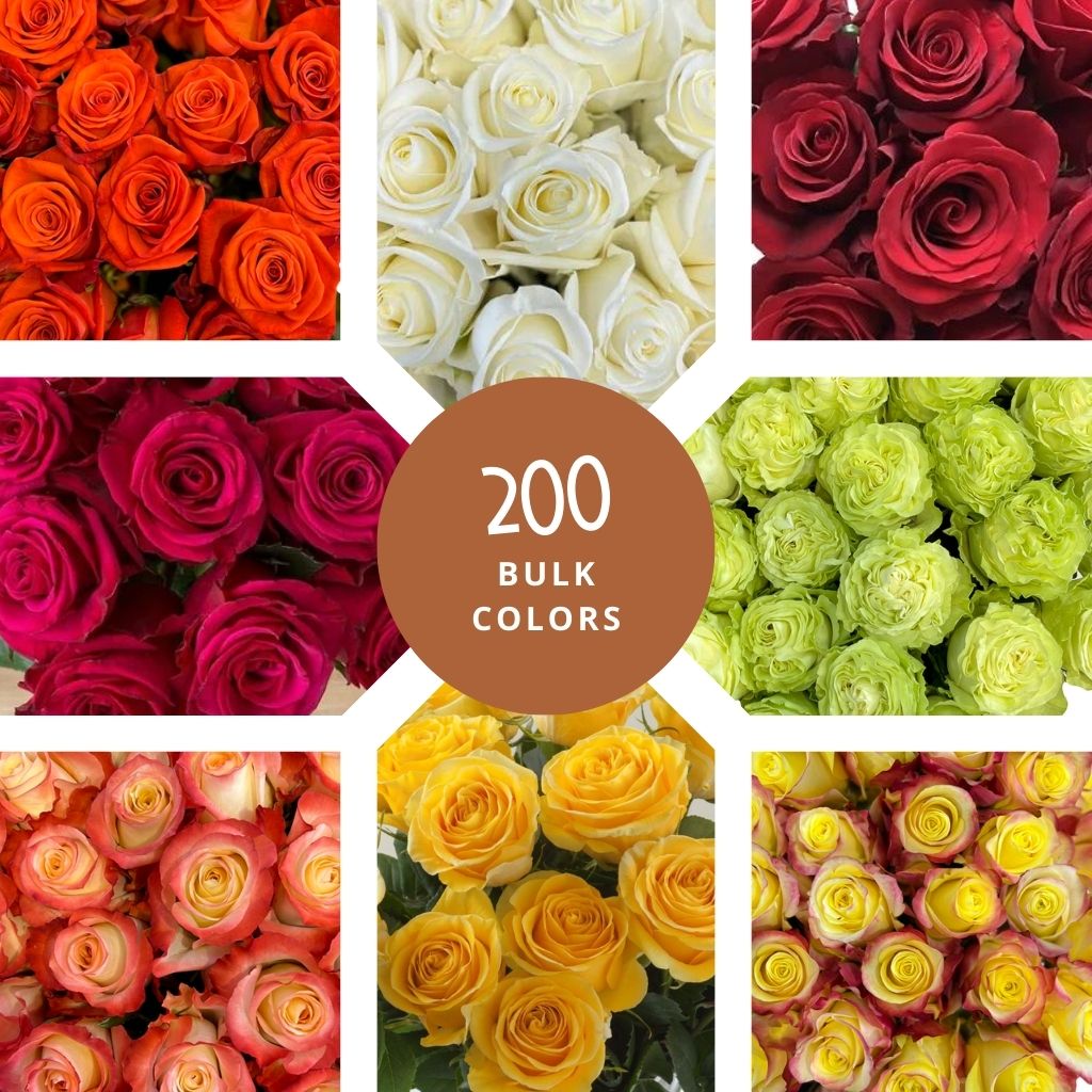 Wholesale Roses | DIY Wedding Flowers – Flower Explosion