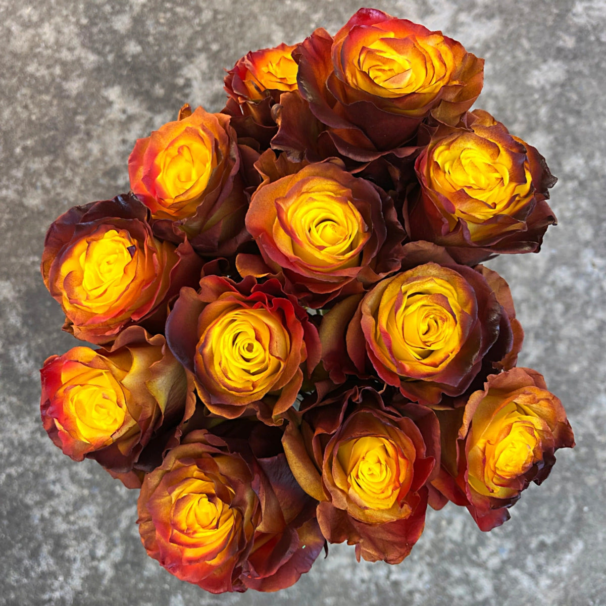 Amber Dusk Roses – Burnt Orange & Yellow Fall Roses | Flower Explosion