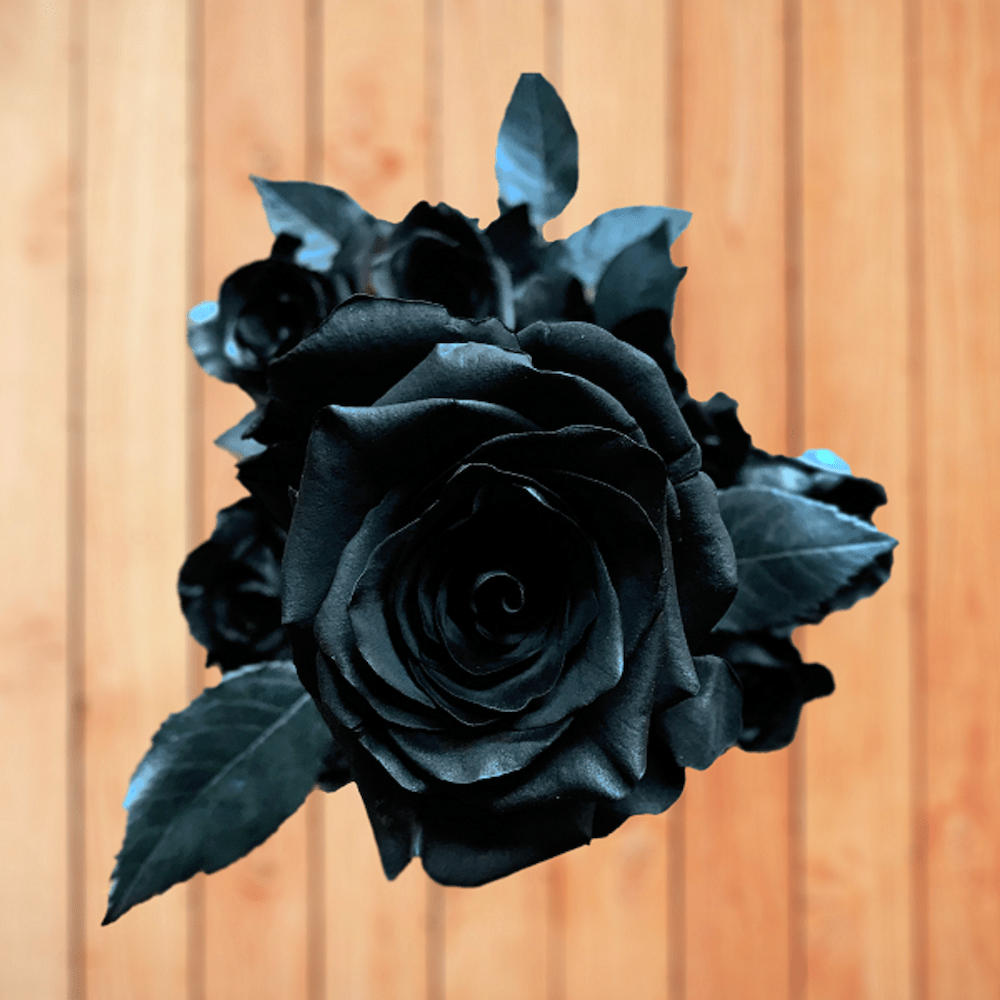 black flowers collection