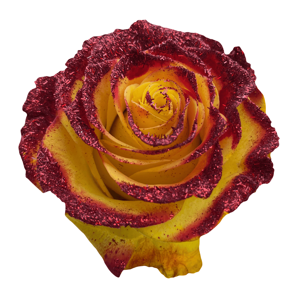 Glitter Roses for Sale | Specialty Online Flowers - Flower Explosion