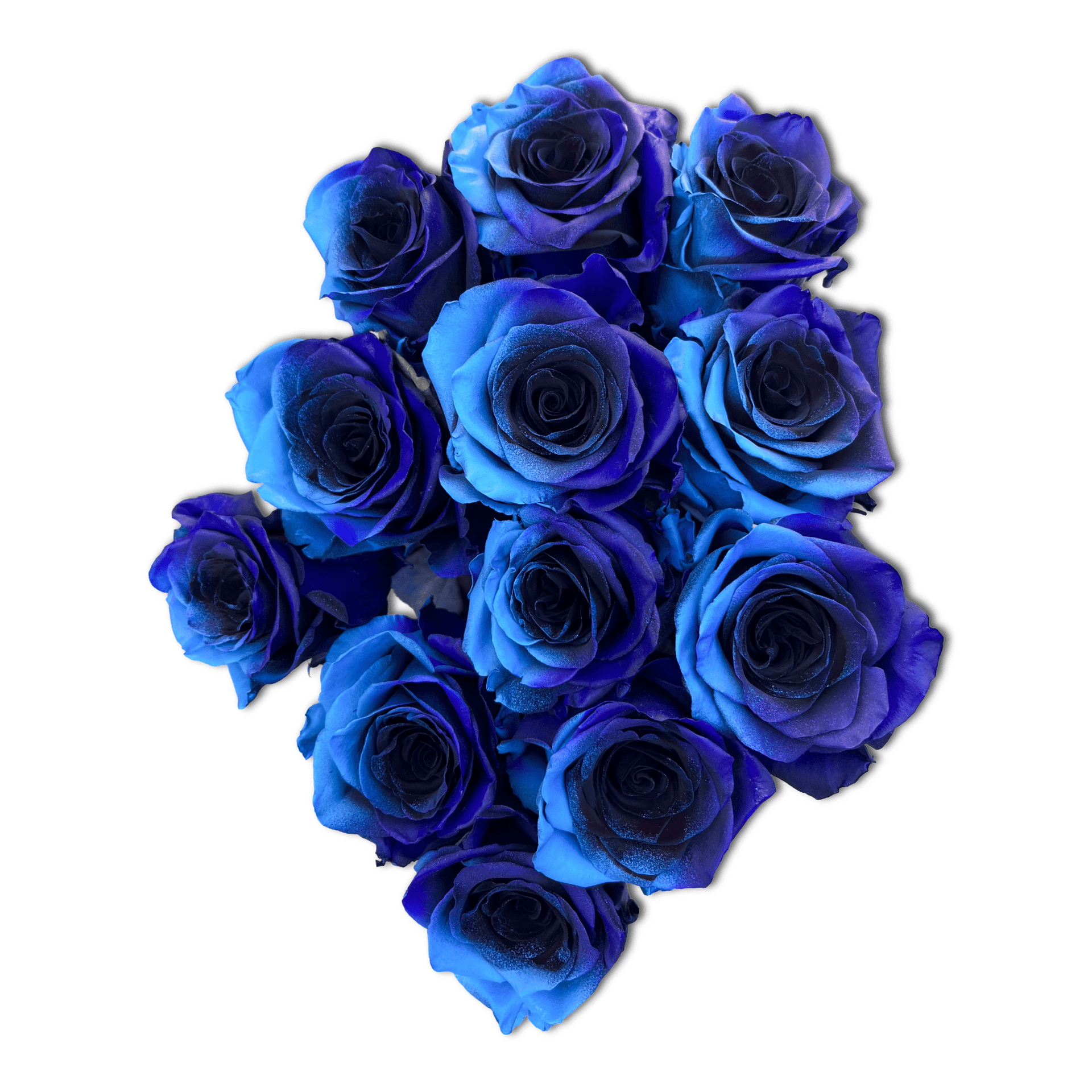 その他 Blue roses cosmic-blue-rose.png?v=