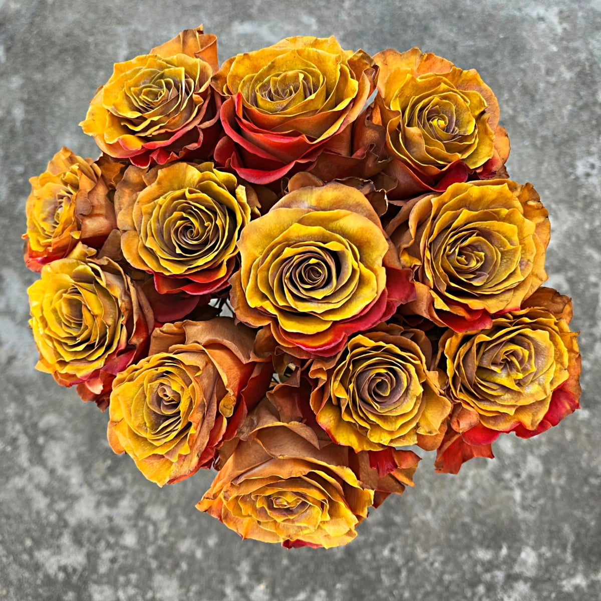 Falling Leaves Roses – Yellow, Amber & Red Fall Roses | Flower Explosion