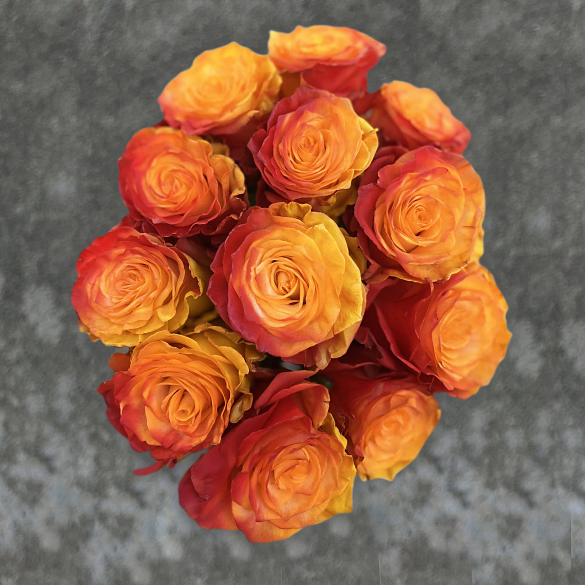 Golden Combo Roses Golden Dust Roses – Yellow & Red Dual-Color Roses | Flower Explosion