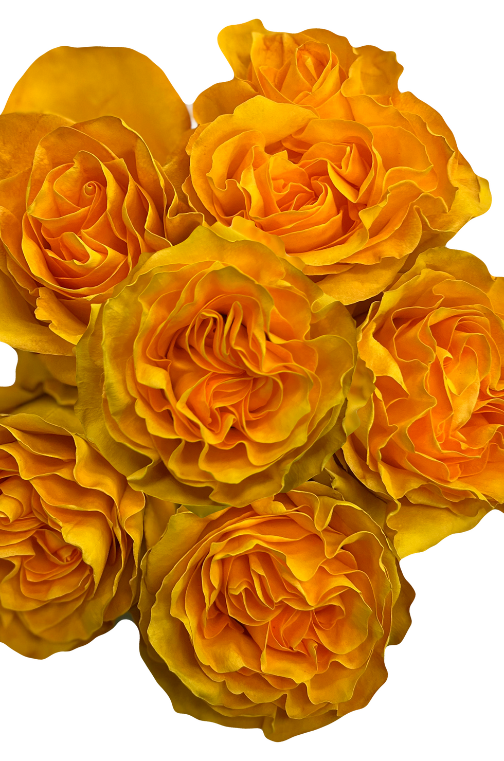 Flower Delivery - Wedding Flowers - Bulk Flowers | Flower Explosion