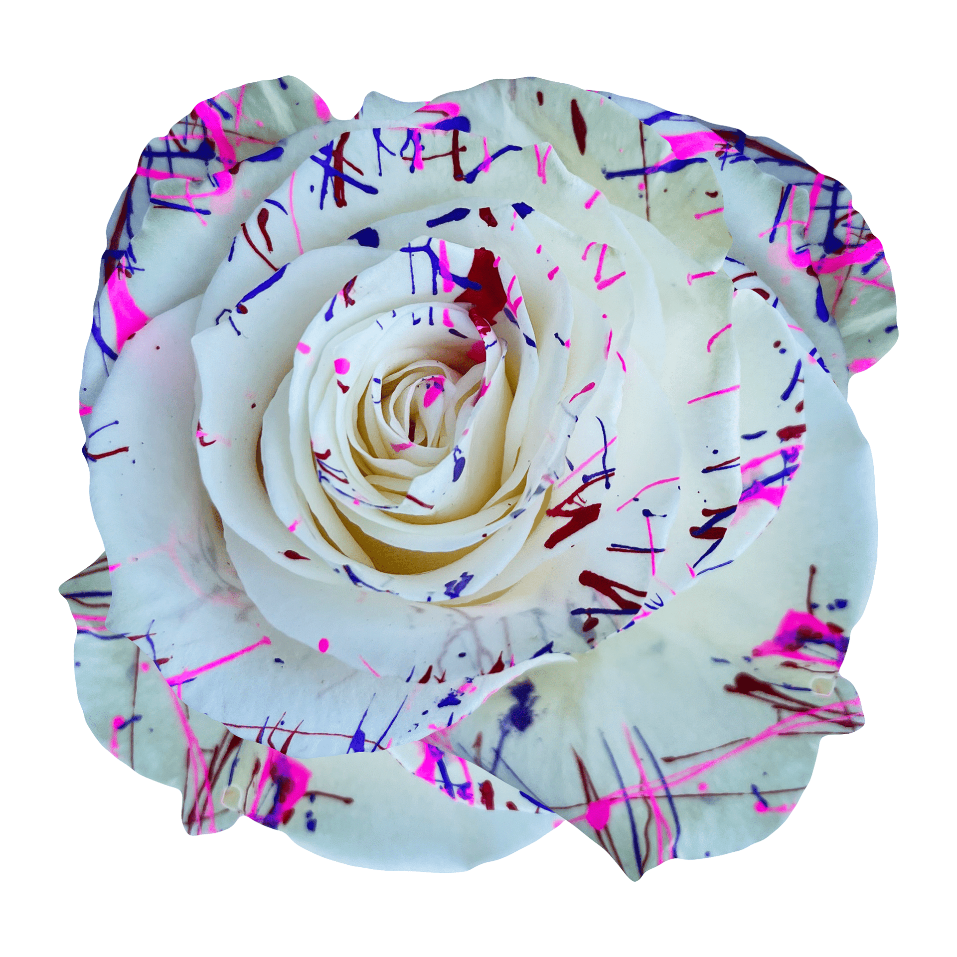 lovely-picasso-31057008853079.