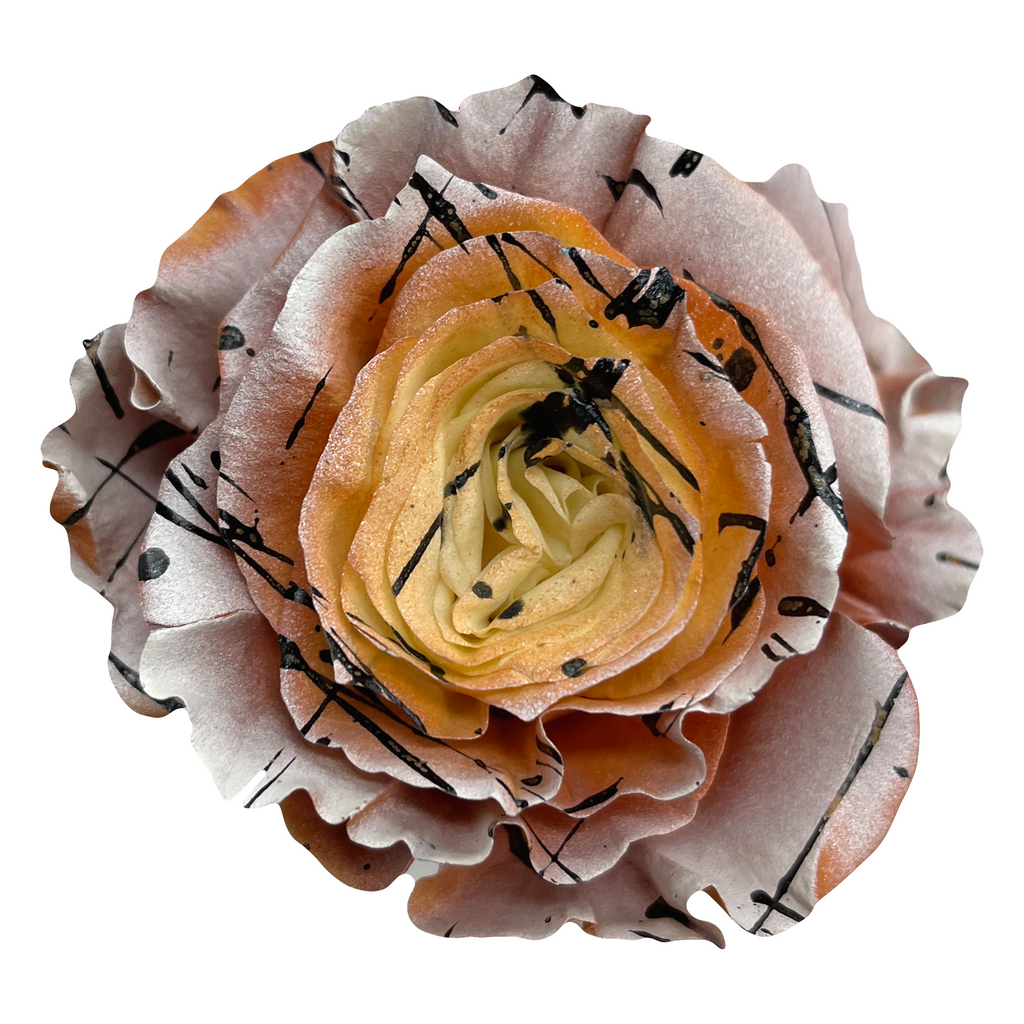 Lynx Roses - Flower Explosion