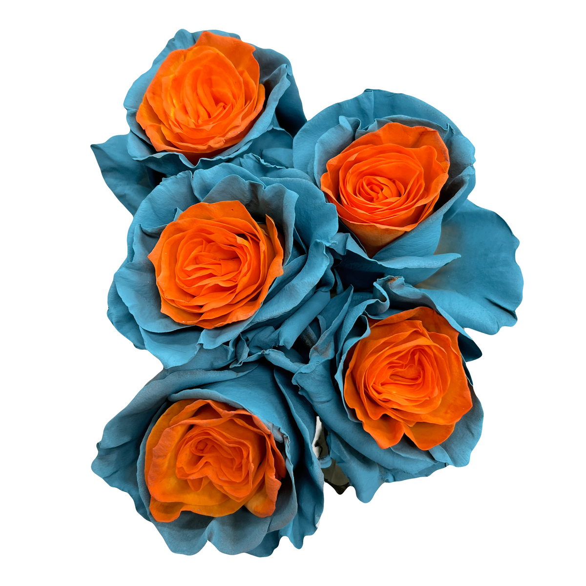 Miami Roses - Flower Explosion
