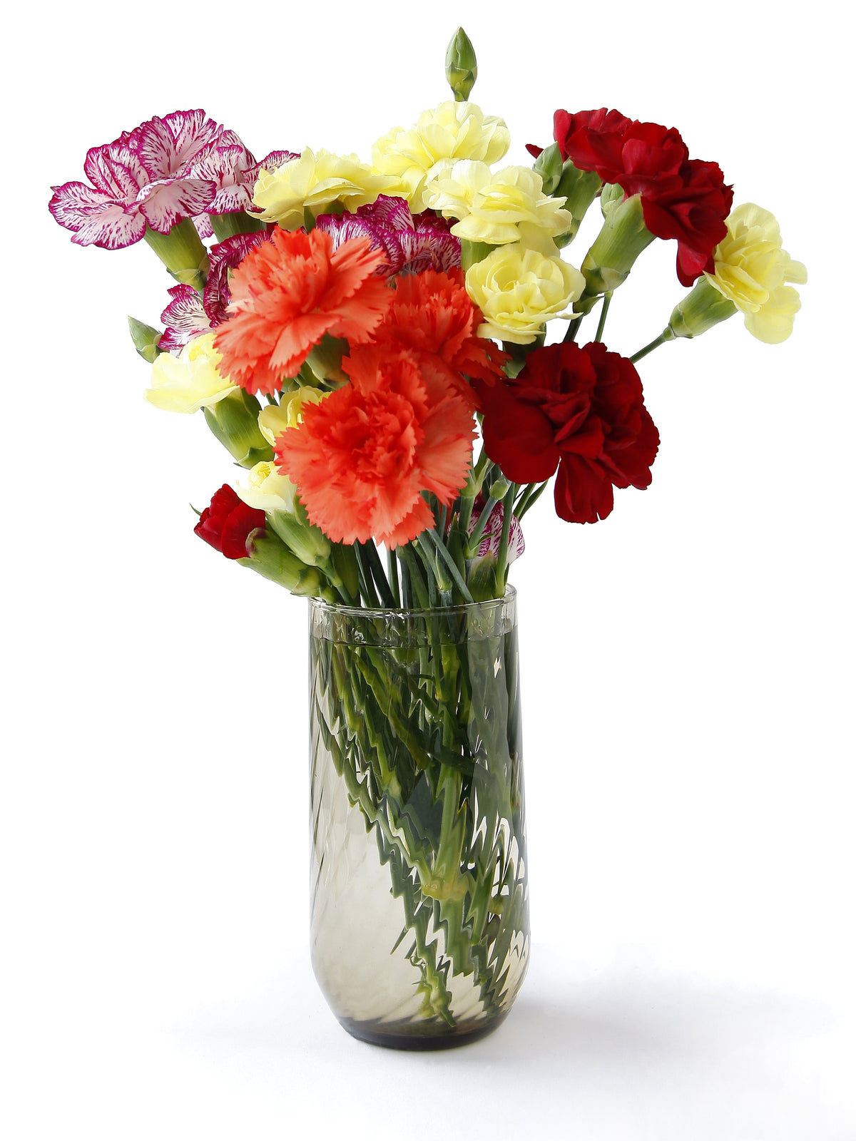 Buy Mini Carnation Flower Plants Wholesale Online @ Flower Explosion