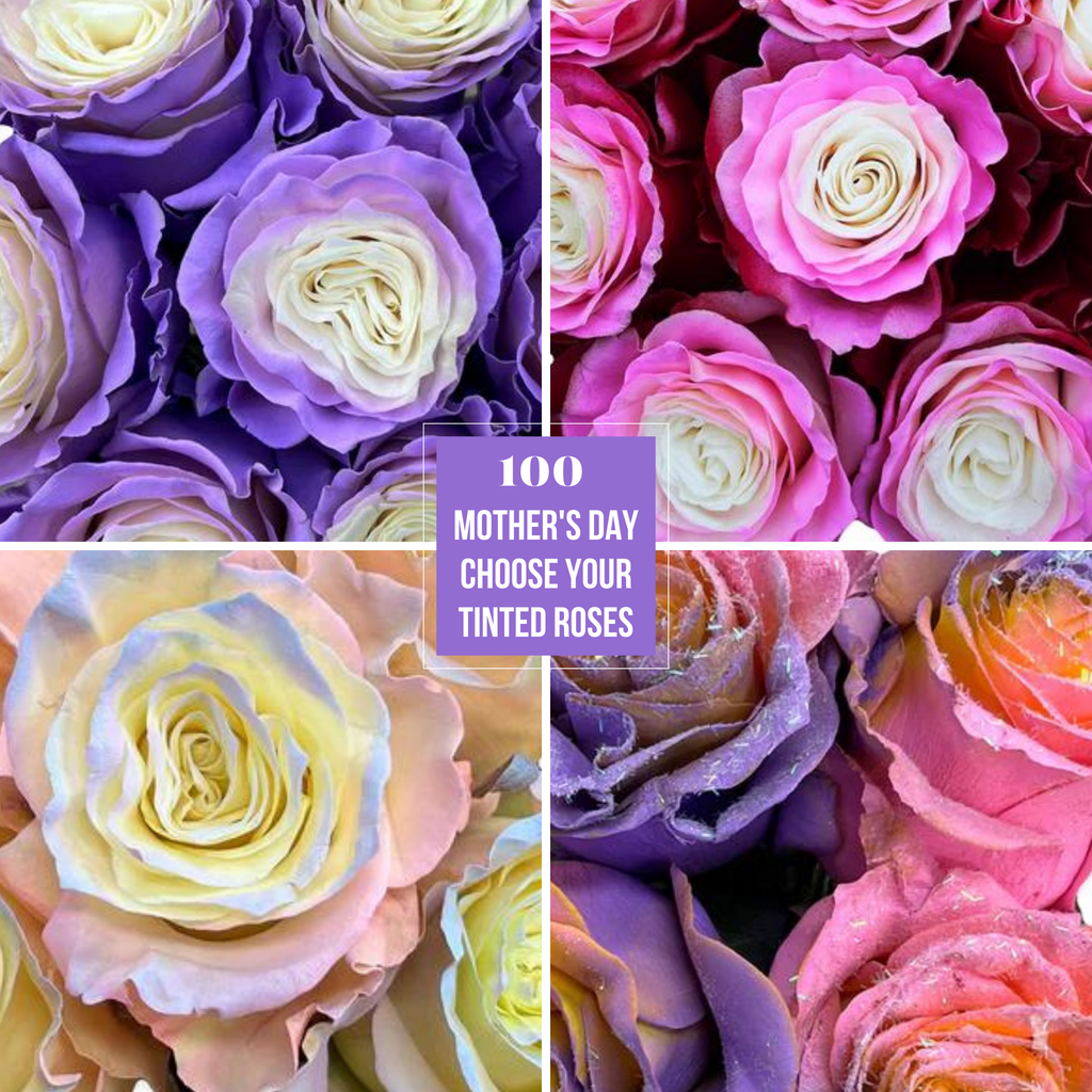 Perfectmatch Roses Mother's Day Mix and Match Tinted Roses - 100 Stems Choose Your Colors ...