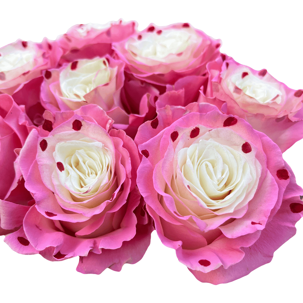 Pink Marble – Flower Explosion