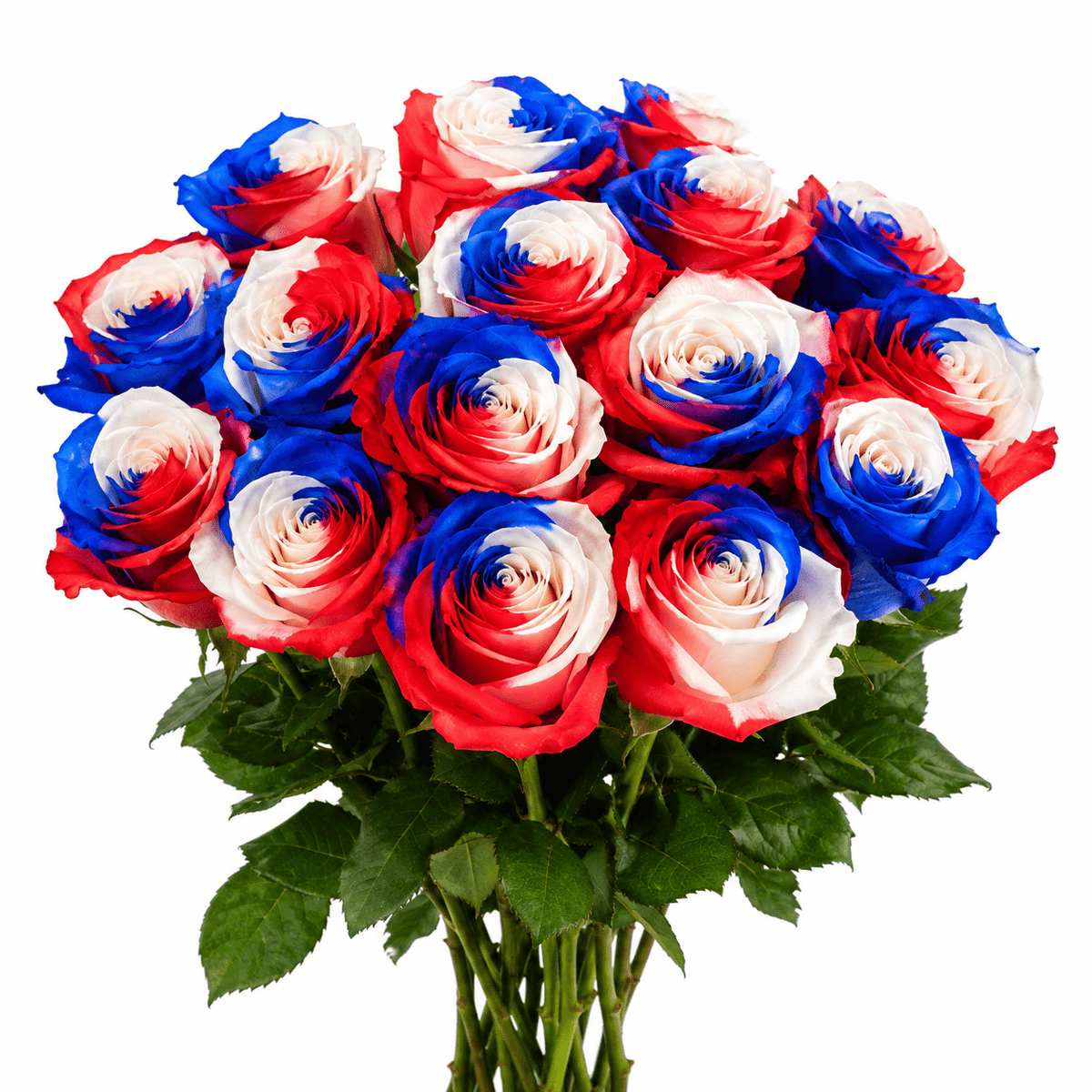 USA Flag Roses – Flower Explosion