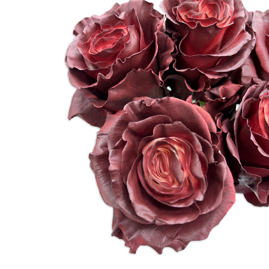 Tinto Red Roses Red Wine Roses - Flower Explosion